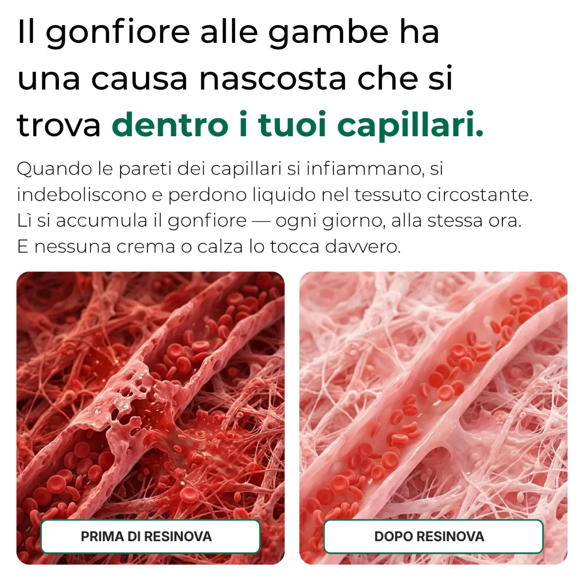 Resinova Balsamo alpino™