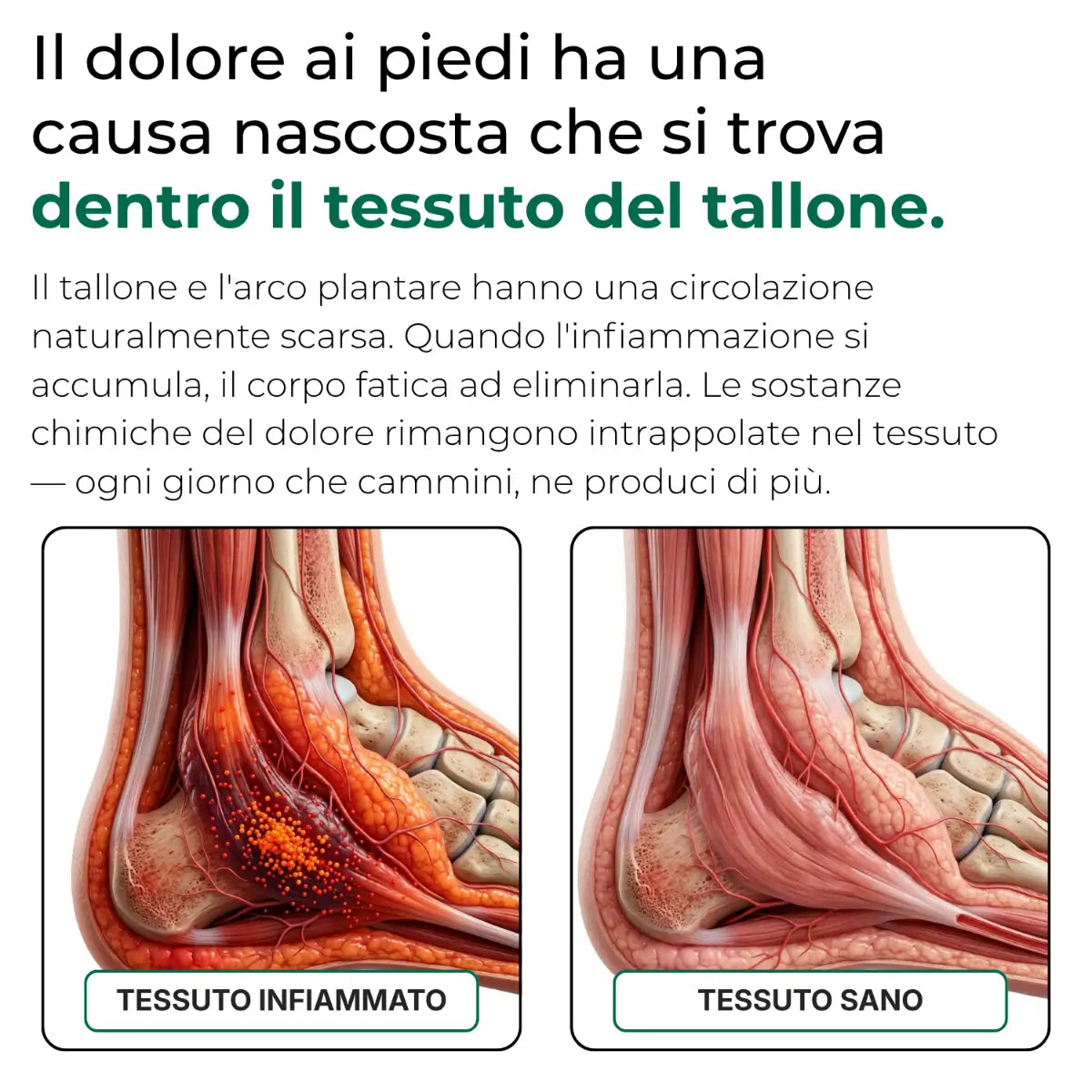 Resinova Balsamo alpino™